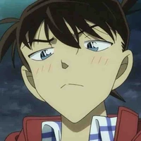 Kudo shinichi 