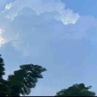 Mọi người 