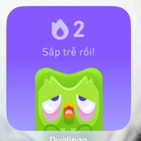 Bốn người