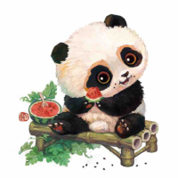 Gấu trúc của Kai