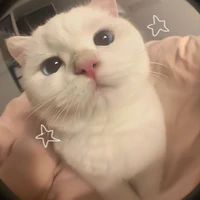 t/g thích người đọc đau khổ🤡