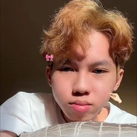 Hữu Đạt ( phoenix, út khờ )