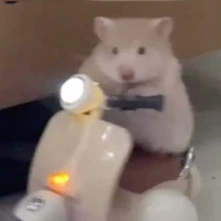 tg zui zẻ not quạo