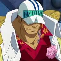 Sakazuki Akainu