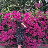 Phương Thảo