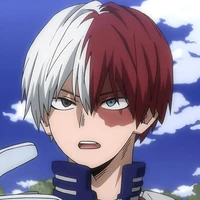 Shoto Todoroki