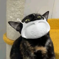 tác giả nìiii