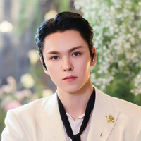 Chwe Hansol ( Vernon )