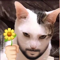 Tác giả