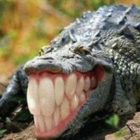 Đ*o biết là ai???