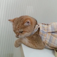 Tác giả