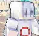 OzinMC_