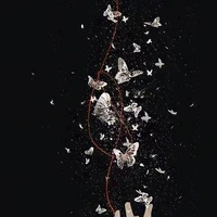 người bí ẩn
