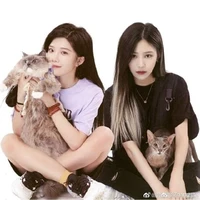 Hắc Miêu