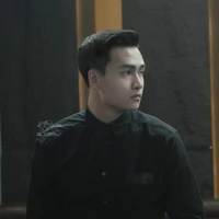 Bùi Hoàng Việt Anh (vịt anh)