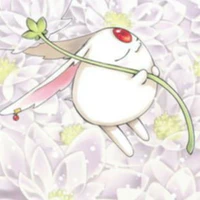 Mokona Modoki