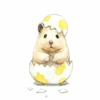 Chít (hệ thống)