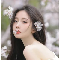 𝚠𝚝.𝚙𝚒𝚜𝚌𝚎𝚜_𝚜𝚗𝚘𝚐𝚐