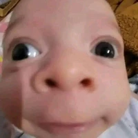 thằng xàm cu nào đấy