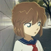 Haibara ( sherry )
