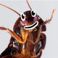 Thiên Thiên