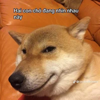 mọi người