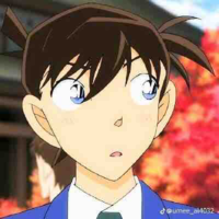 Kudo Shinichi