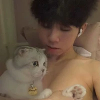 Hữu Đạt (Phoenix)