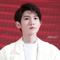 Vương Nguyên (F1)