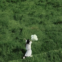 Tác giả thích mèo