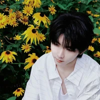 Mã Gia Kỳ_y