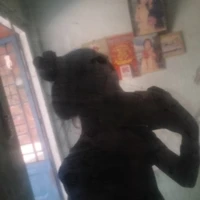 Au đêy