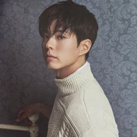 Park BoGum