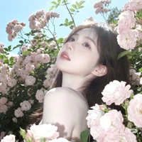 Hạ Hoàng Yến - cô