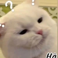 t/g cứ gọi là Sano nha