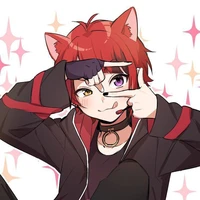 hachi
