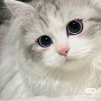 Tác giả siu lườiiiiii