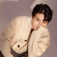 Phạm Đình Thái Ngân 31t