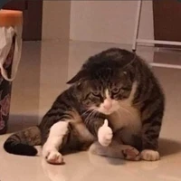 Nam xì ke
