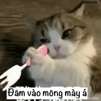 bà t/g nài các con