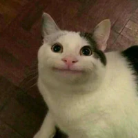 tác giả ( voiu along nha 💔😔 )