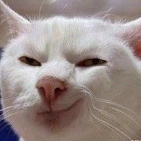 nhỏ tác giả😈