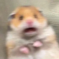 ？？？