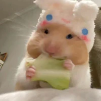 🐭