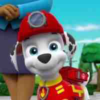 Marshall