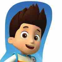Ryder 