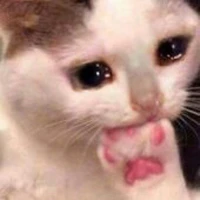 Tác giả đau khổ