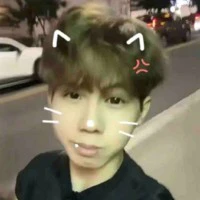 Phoenix_HĐạt