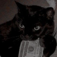 Yan [ Hệ thống ]