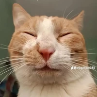 tác giả hay suy=))